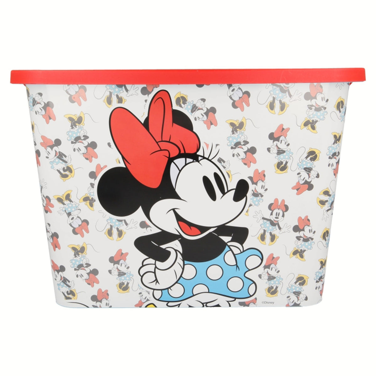 Minnie vintage Storage click box