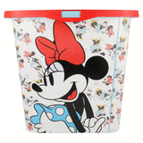 Minnie vintage Storage click box