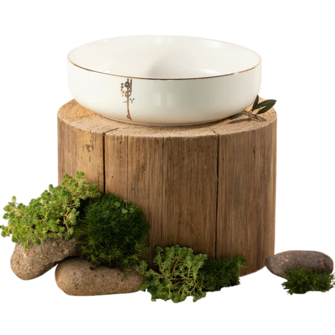 Porcelain Salad Bowl - Pearl White+Gold