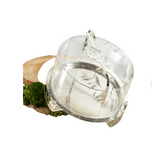 Plate Holder - Silver