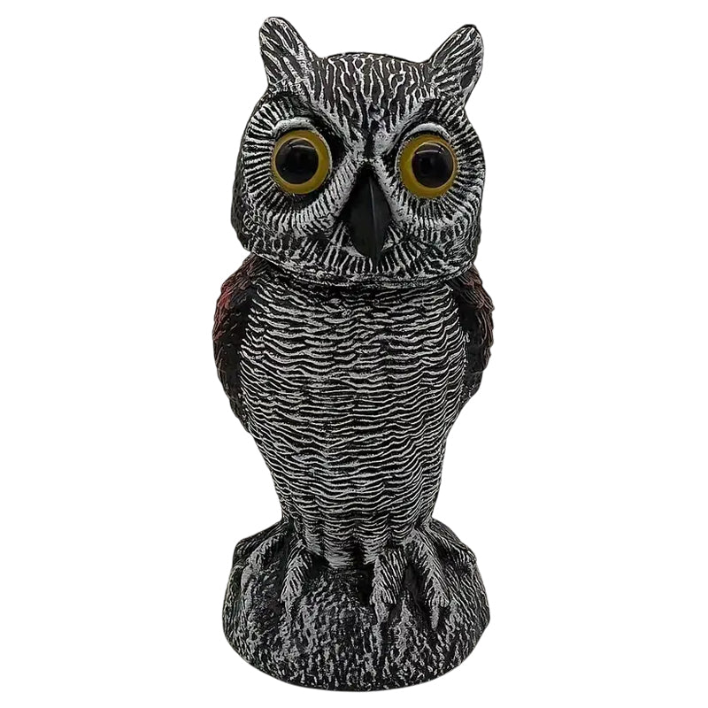 Redback Owl 12.5X12.5X22Cm - Black