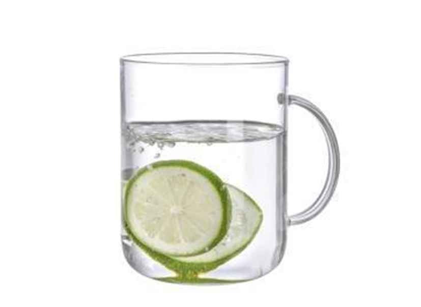 Danny Home 2-Piece Borosilicate Glass Cup – 500 Ml-Clear