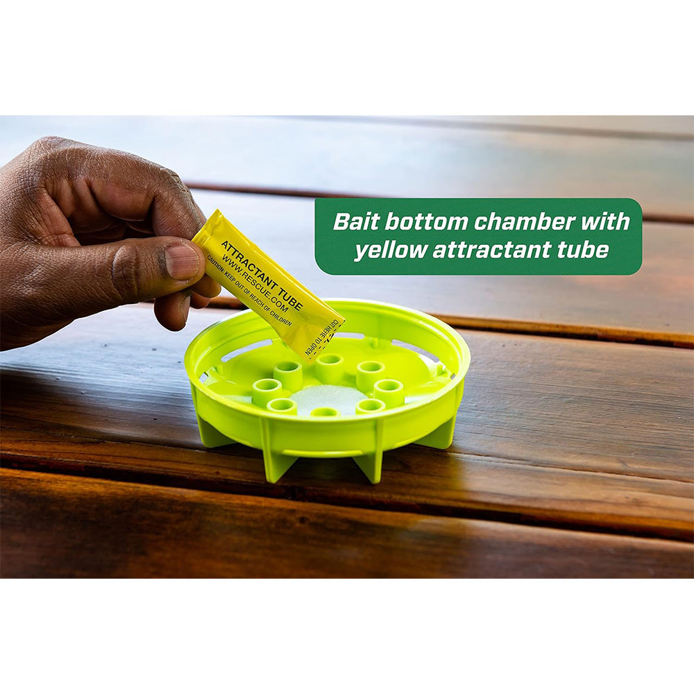 Reusable fly trap