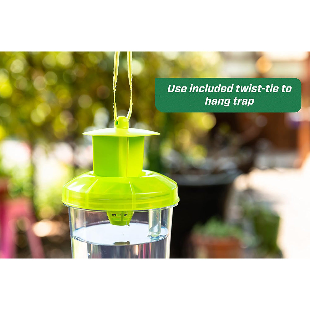 Reusable fly trap
