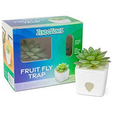 Zendozones Stainless Steel Fruit Fly Trap-White
