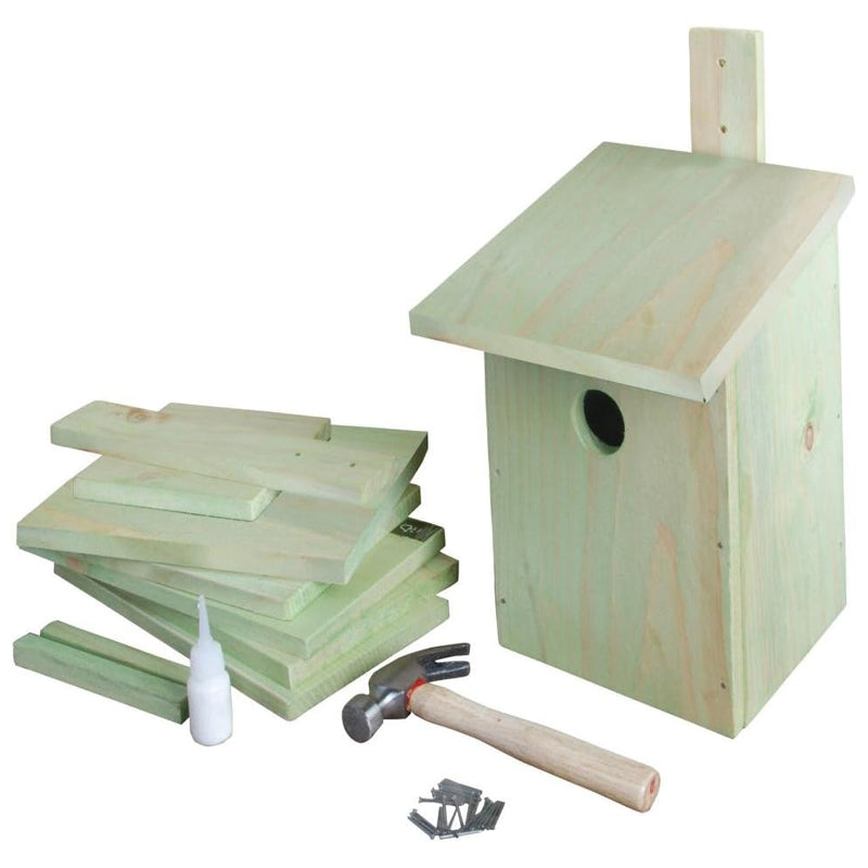 Childrens Birdhouse Kit - Mint Green