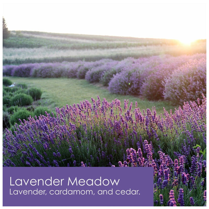 Tuscany Candle Empire Meadow 397 Gram -Lavender