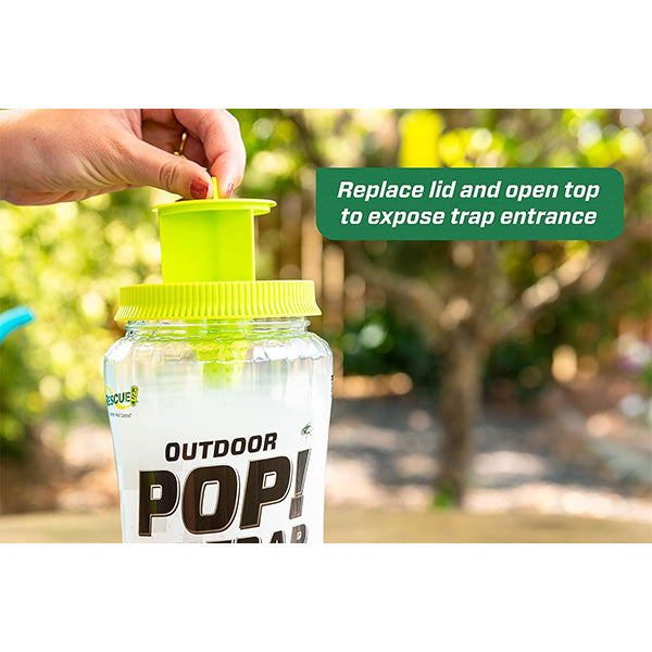 Outdoor pop fly trap