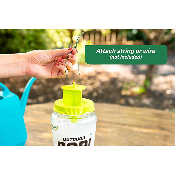 Outdoor pop fly trap