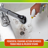 Mold and Mildew Stain Remover Spray