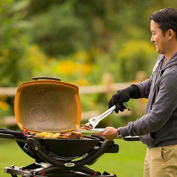 Q 2200 Gas Grill - Beige