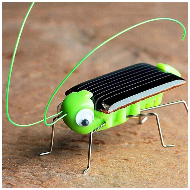 Grasshop Solar Light -Four Season-Green