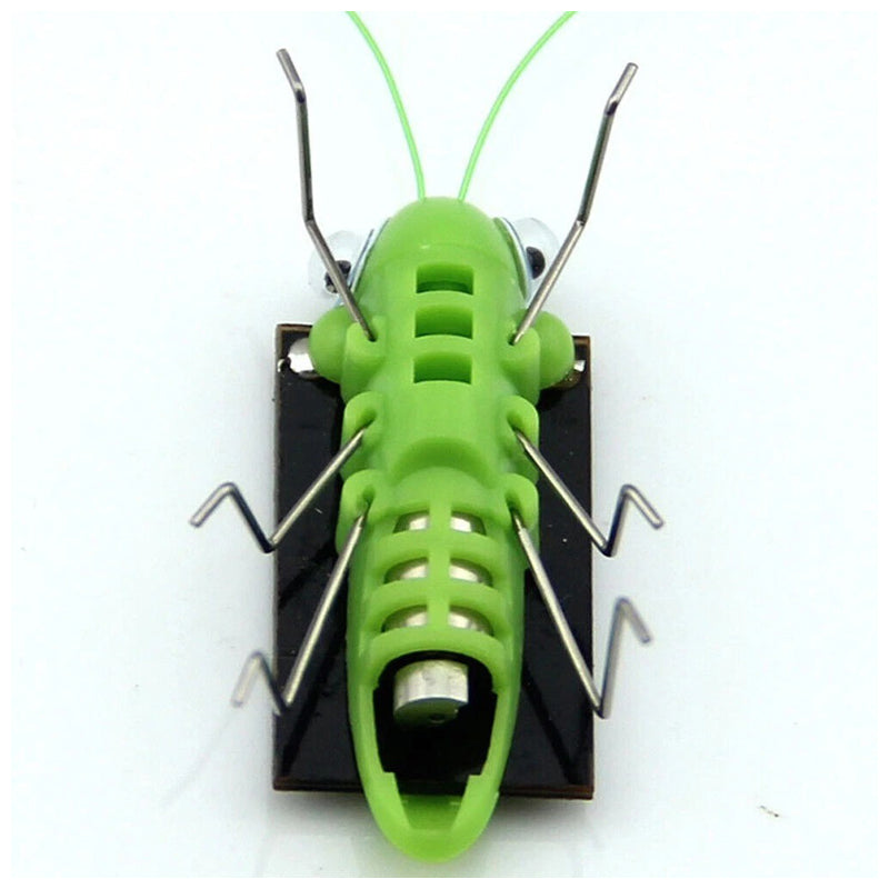 Grasshop Solar Light -Four Season-Green