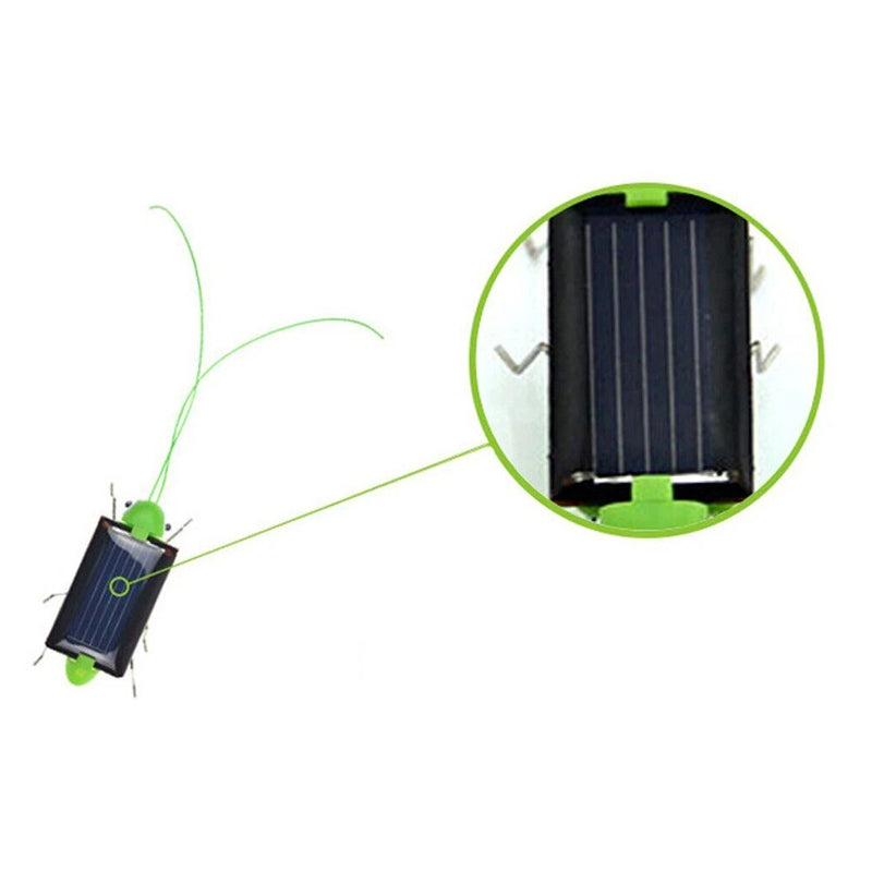 Grasshop Solar Light -Four Season-Green