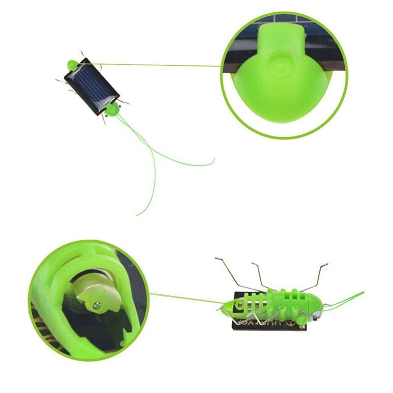 Grasshop Solar Light -Four Season-Green
