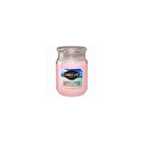 Candle Light Candle EDES 18Oz Pink Shoreline-Pink