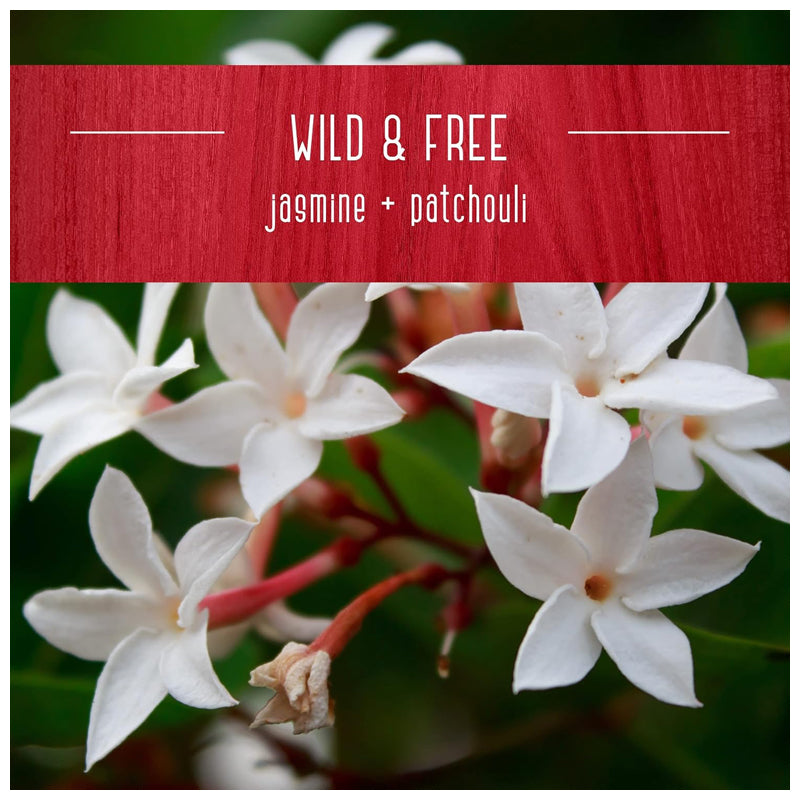 Candle-Lite Candle Esel 16Oz Ww Wild & Free-White