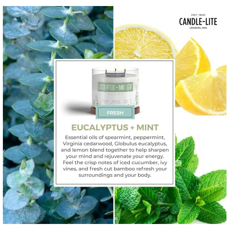 Candle-Lite Candle Esel 9Oz Eucalypt & Mint Leaf-White
