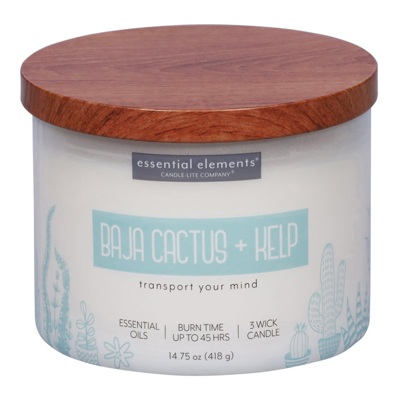 Candle Lite Candle 14.75 Oz Baja Cactus & Kelp-OffWhite