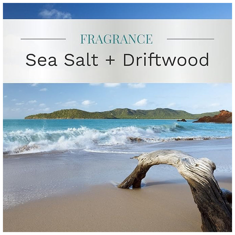 Candle Esel 14.75Oz Salt Grape Fruite & Pom - White