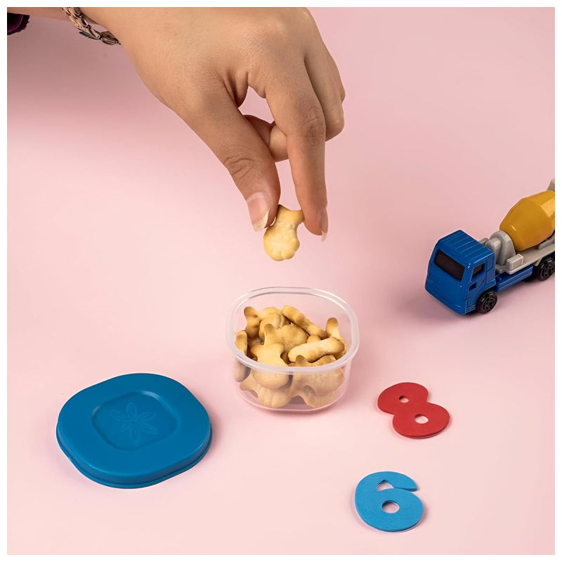Ck Mini Container 4Pk-Multi-Color