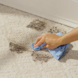 Rejuvenate Carpet Cleaner