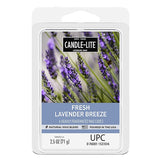 Candle Light Candle EDES 2.5Oz 6Ct Fr Lav Breez-Purple