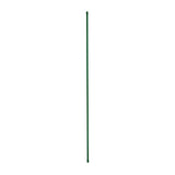 plant stake