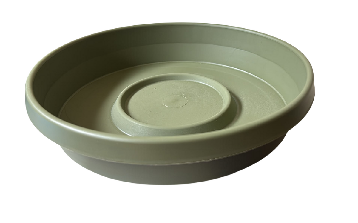 Bloem Terra Pot Saucer 10 Inch - Green