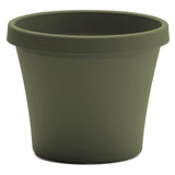 Bloem Terra Pot Saucer 14" - Living Green