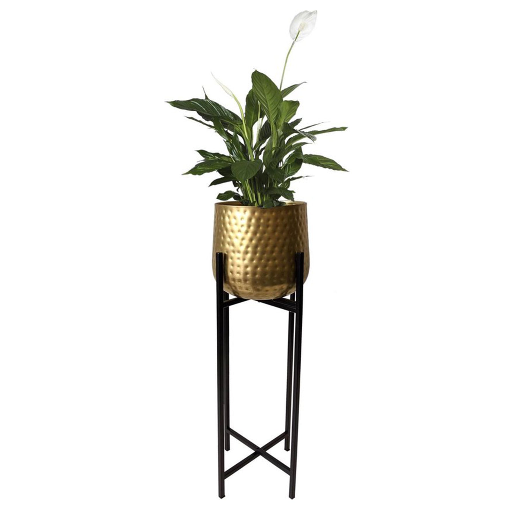 Metal flowerpot on stand