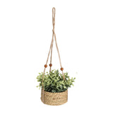 Plant In Seagrass Pot-Green