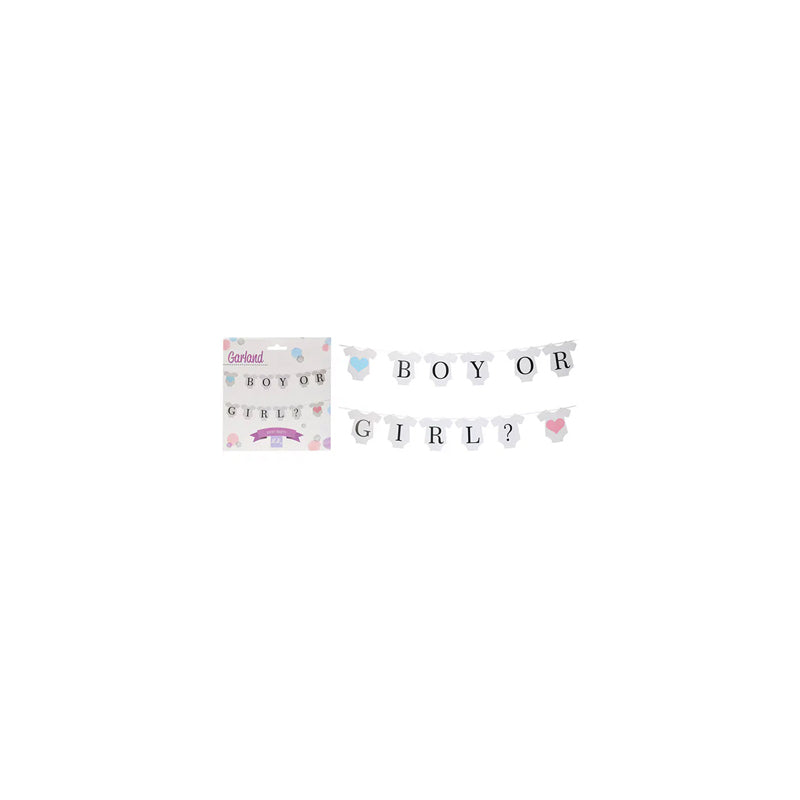 Flags Line Boy Or Girl 2.5Mtr - Multicolour
