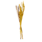 Natural dried branches