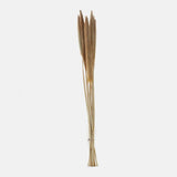 Natural dried branches