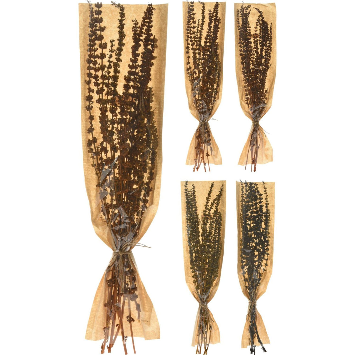 Branches Natural Dried Materia