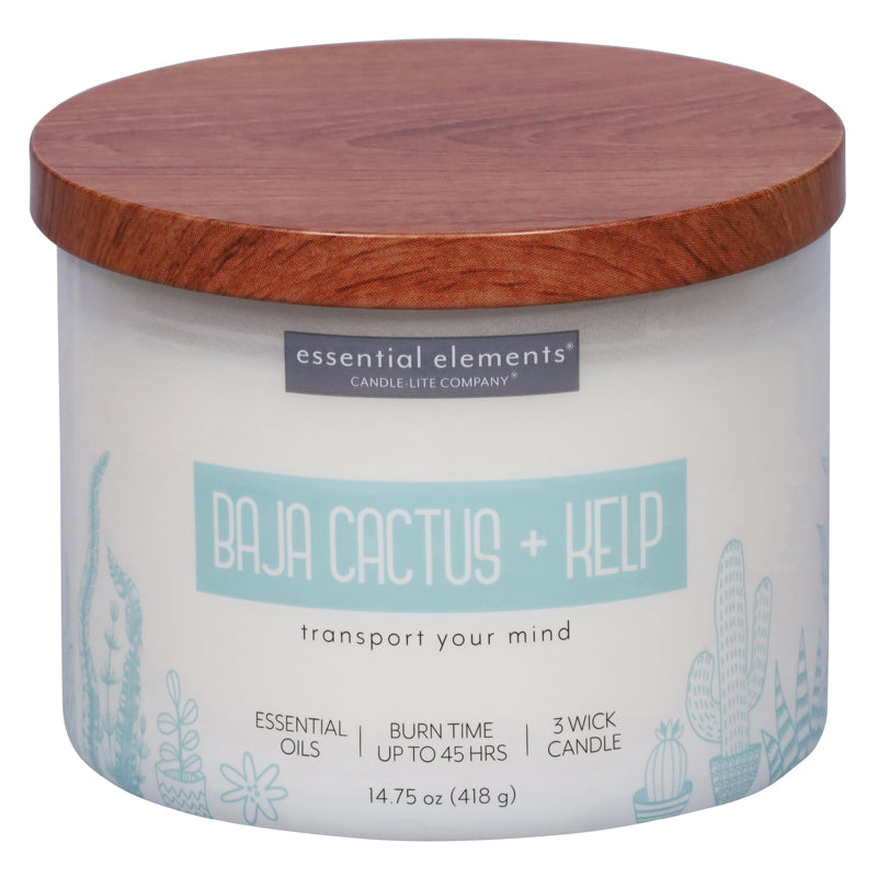 Candle Lite Candle Esel 14.75Oz Baja Cactus & Kelp - Offwhite