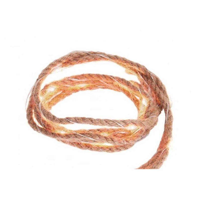 Decorative Rope 2Mtr 20 Warm Led-White
