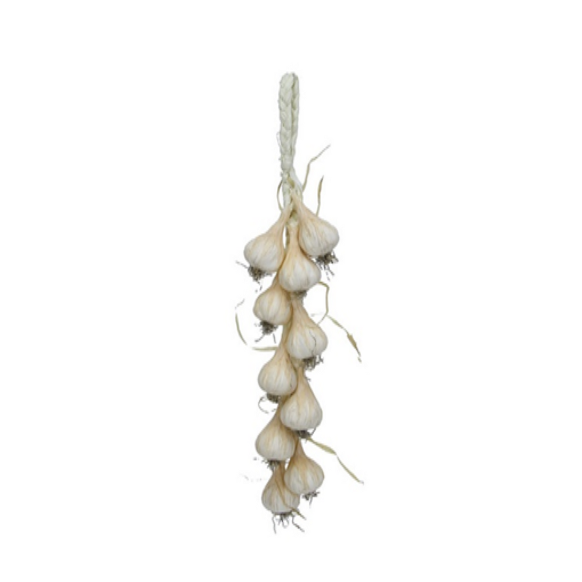 Artificial Garlic